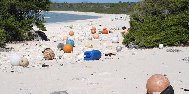 La plastica che rovina il Pacifico