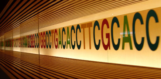 Un archivio nel DNA