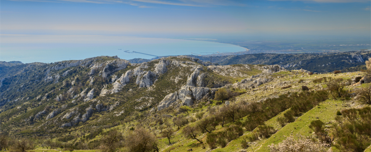 Cristanziano Serricchio desiderio di luce Treccani