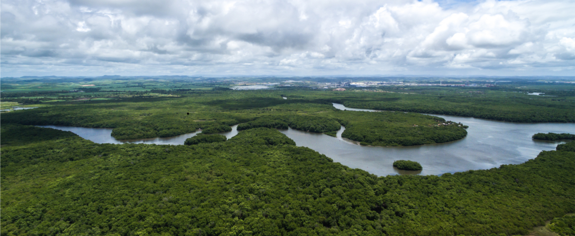 L’Amazzonia nella lotta contro il globalismo