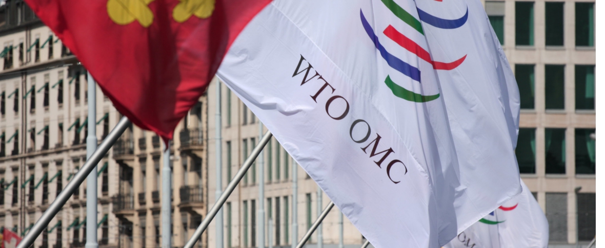 La paralisi mondiale del commercio Treccani