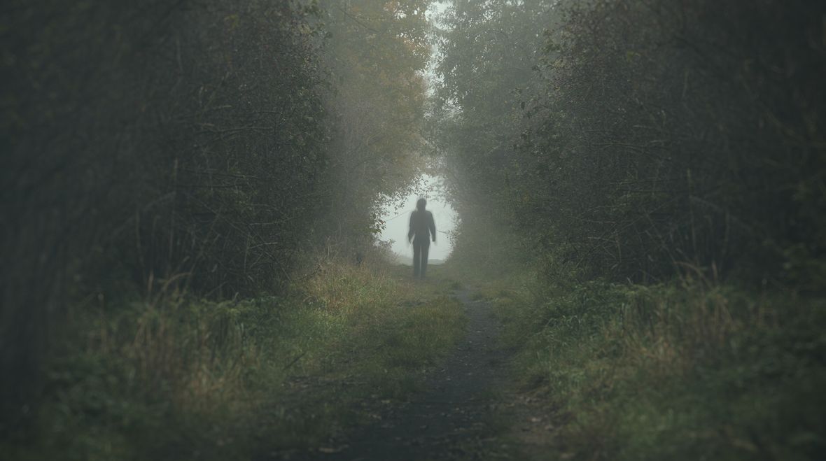 Niente di vero, di Veronica Raimo - Treccani - Treccani