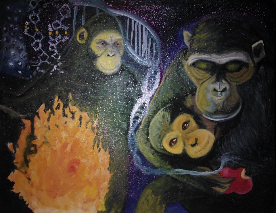 I sistemi complessi dalla fisica alle scienze sociali Treccani